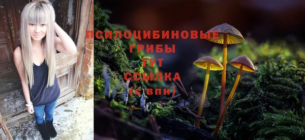 стафф Абинск